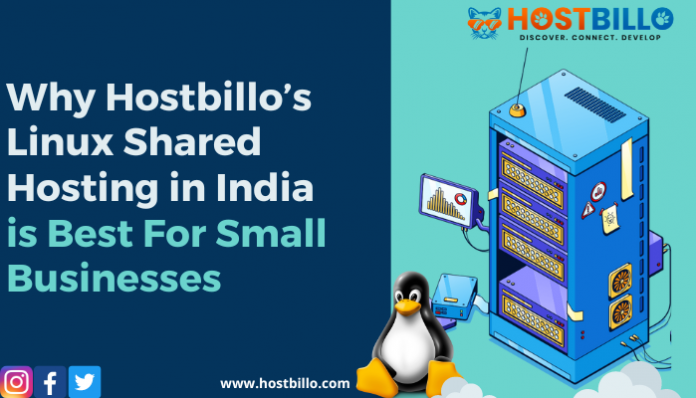 Why Hostbillo’s Linux Shared Hosting in India is Best For Small Businesses