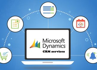 dynamics crm services