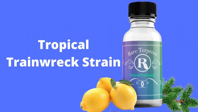 Tropical Trainwreck