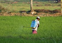 Fumigation: Unveiling the Science and Importance of Pest Control Pest Control
