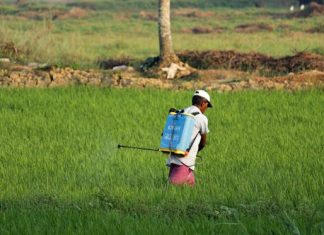 Fumigation: Unveiling the Science and Importance of Pest Control Pest Control