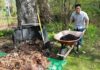 How Do I Dispose of Yard Waste Near Me? Disposal of Yard Waste