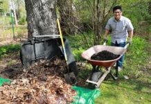 How Do I Dispose of Yard Waste Near Me? Disposal of Yard Waste